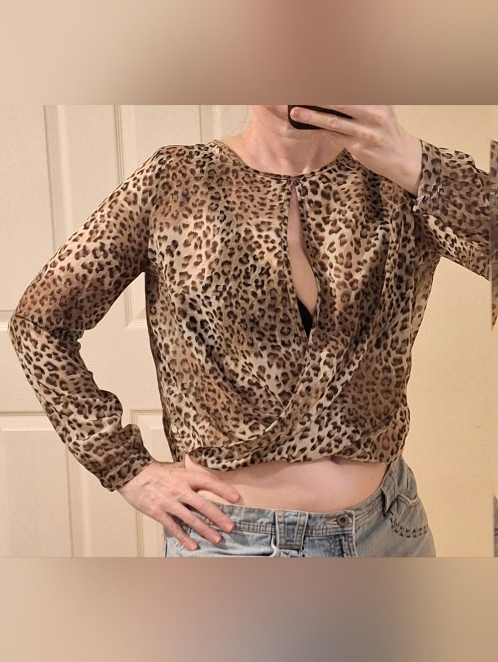 ✨️◾️SEDUCTIONS◾️✨️Sheer, Long-Sleeve Leopard Print Blouse